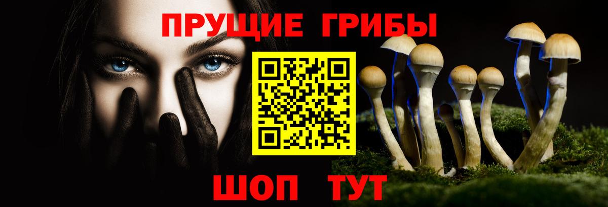 Моздок  продажа наркотиков  Вход с VPN  Псилоцибиновые грибы Magic Shrooms 